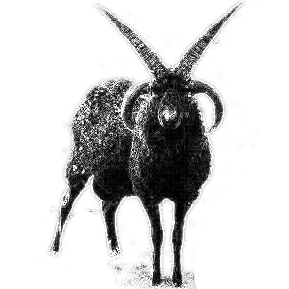 _images/black_goat.png